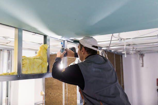 Best Garage Insulation Installation  in Eveleth, MN