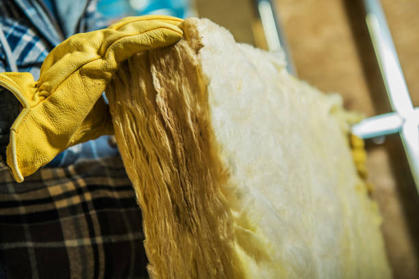 Best Insulation Inspection Services  in Eveleth, MN