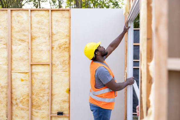 Best Insulation Replacement Services  in Eveleth, MN