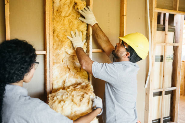 Best Attic Insulation Installation  in Eveleth, MN