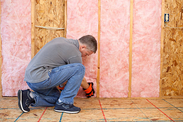 Best Insulation for New Construction  in Eveleth, MN