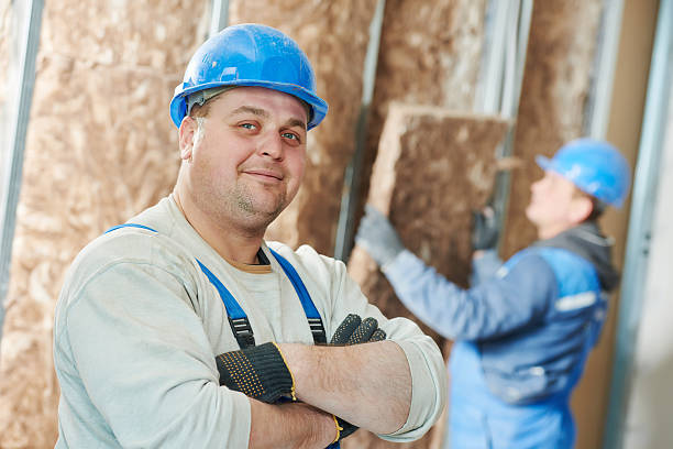 Best Soundproof Insulation Installation  in Eveleth, MN