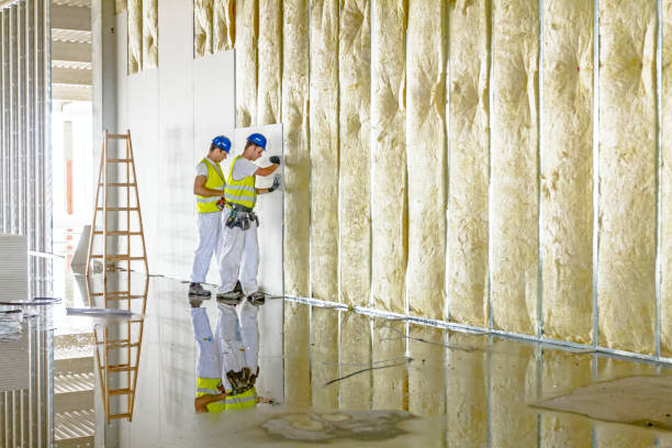 Best Spray Foam Insulation  in Eveleth, MN